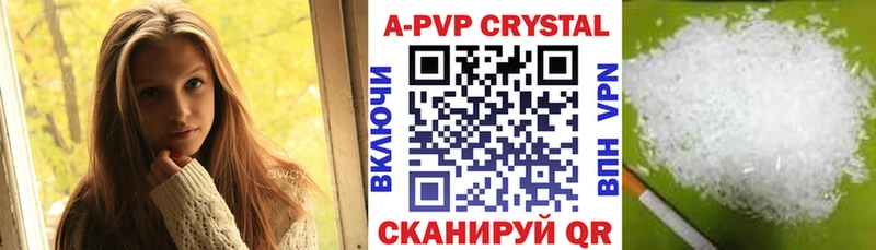 A PVP СК КРИС  Камешково 
