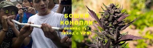 прущие грибы Арсеньев